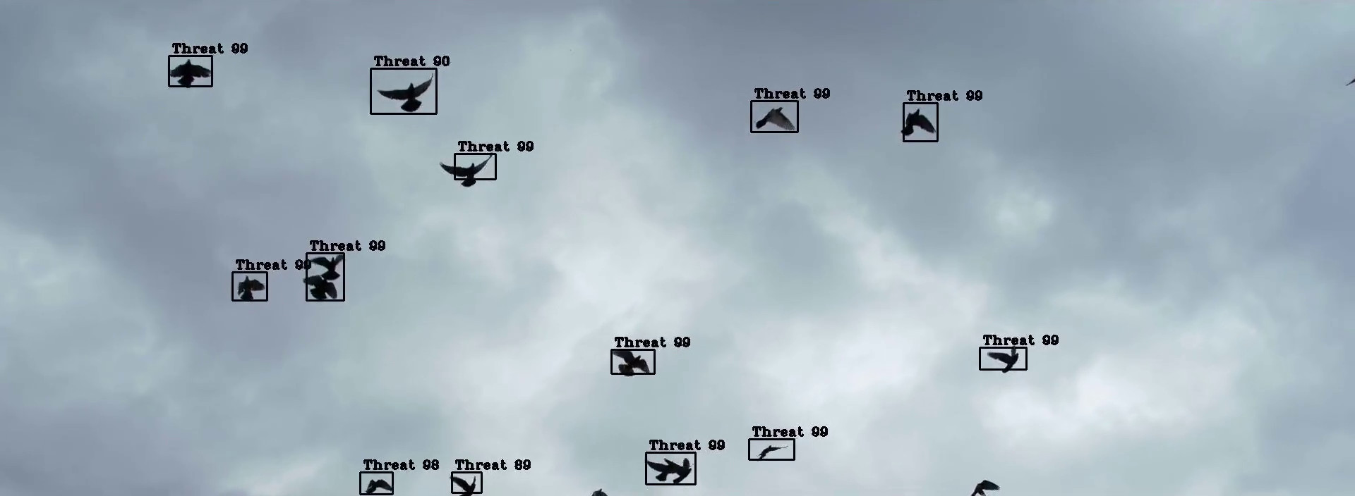 birds_intro_snapshot